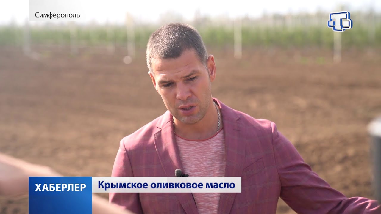 В КФУ начали производить собственное оливковое масло