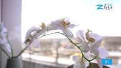 Рубрика «Рухият» 08.04.22